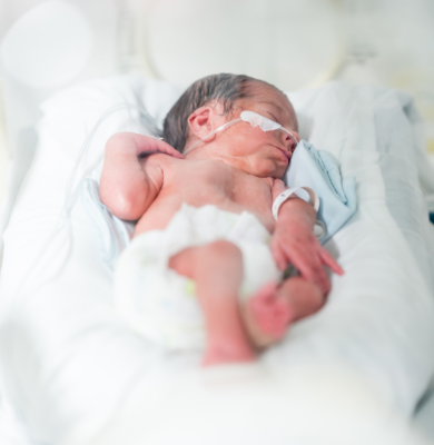 Little Fern NICU